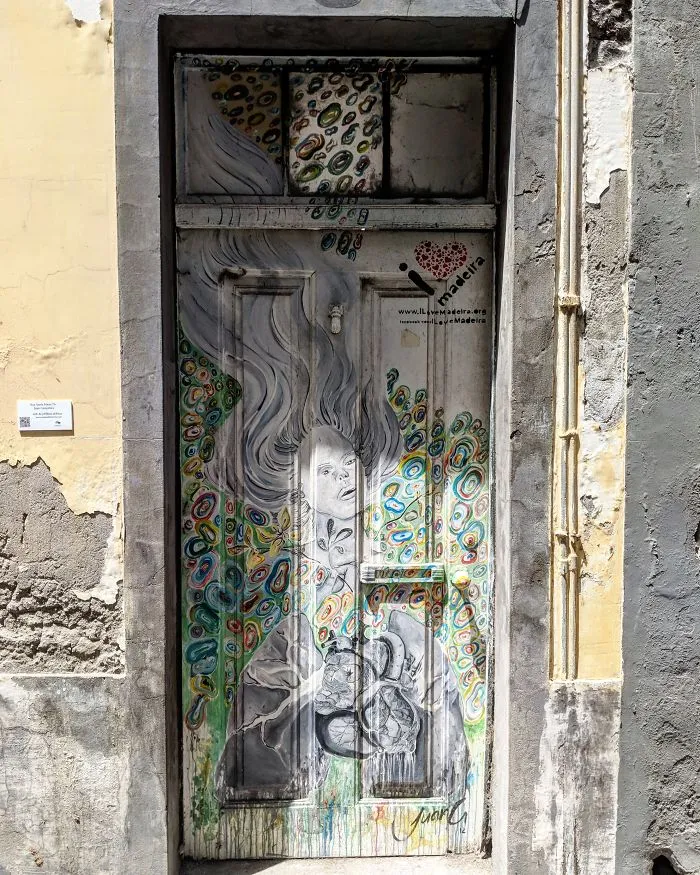 The Painted Doors Project: I Took Pictures Of Beautiful Doors In Madeira (27 Pics)