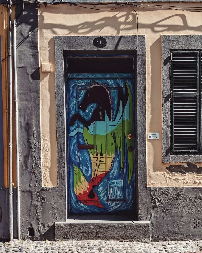 The Painted Doors Project: I Took Pictures Of Beautiful Doors In Madeira (27 Pics)