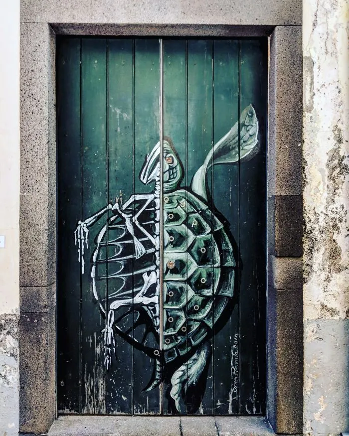 The Painted Doors Project: I Took Pictures Of Beautiful Doors In Madeira (27 Pics)