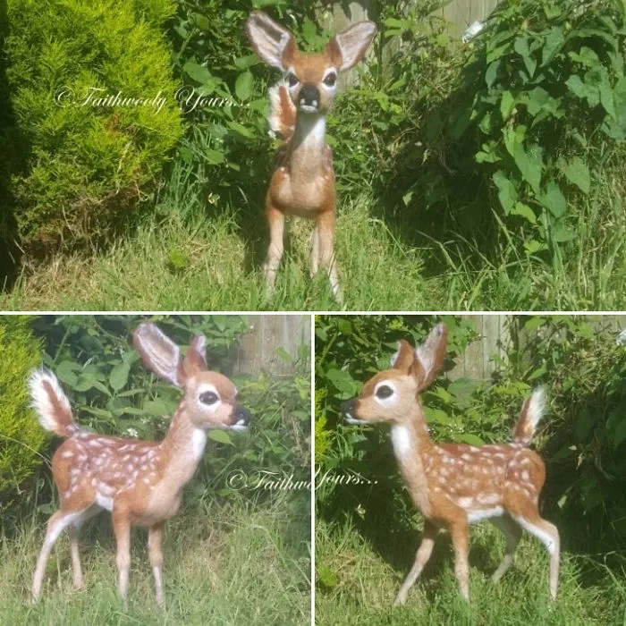 Fawn Of Wool In My Garden