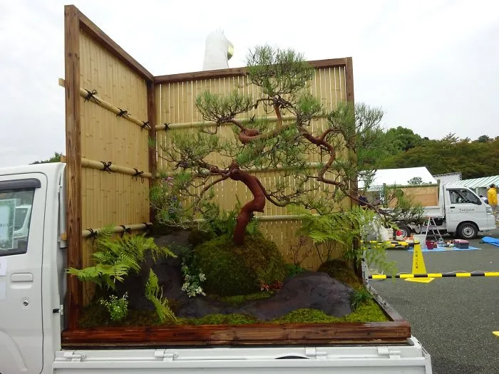 Traditional Japanese Garden With Bonsai Tree