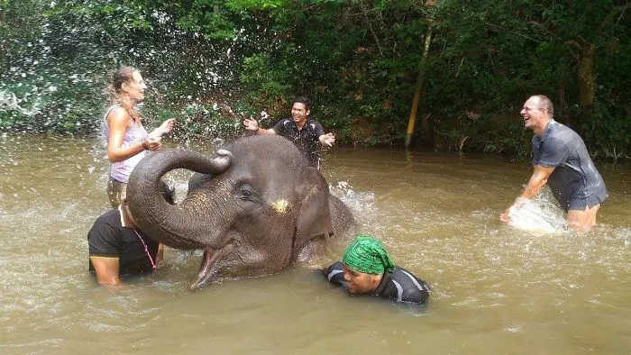 We Were Taking A Bath With An Elephant