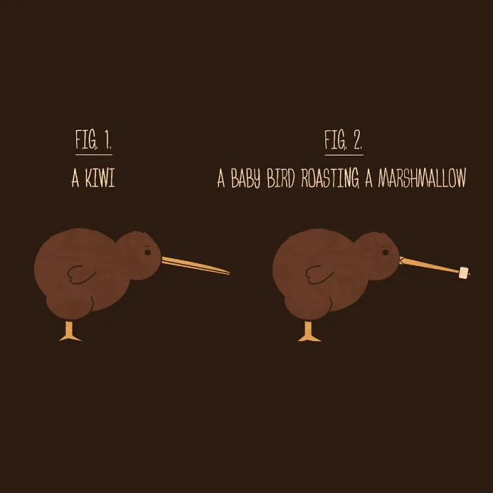 Kiwi Or Baby Bird