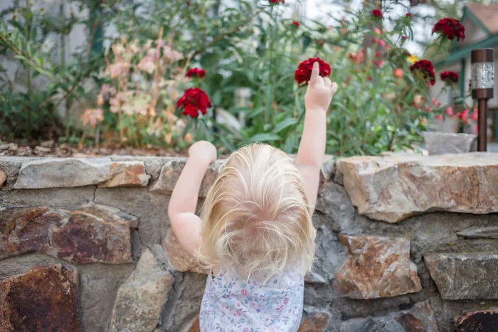 Flower Girl