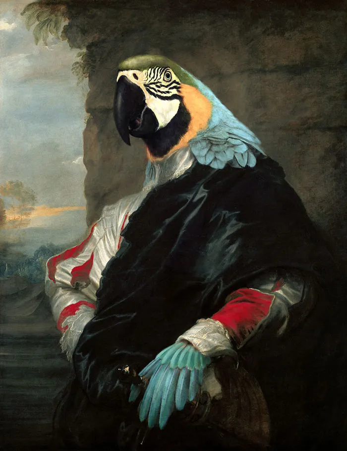 Duke Parrot