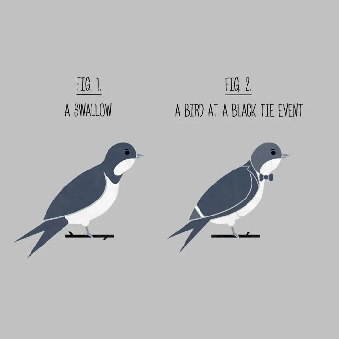 Swallow Or Well Dressed Bird
