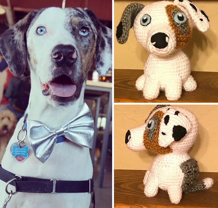 29 Stuffed Animals That I Created Based On Other People's Pets