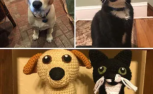 29 Stuffed Animals That I Created Based On Other People's Pets