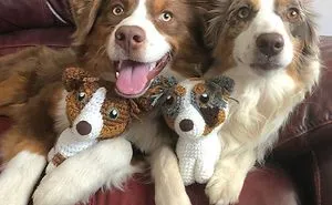 29 Stuffed Animals That I Created Based On Other People's Pets