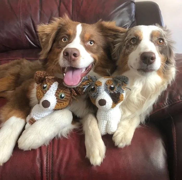 29 Stuffed Animals That I Created Based On Other People's Pets