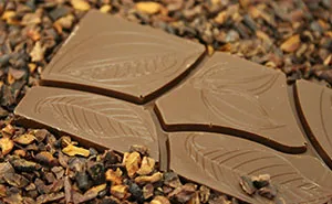 I'm A Chocolate Maker, And Here's How The Chocolate is Made From Bean To Bar