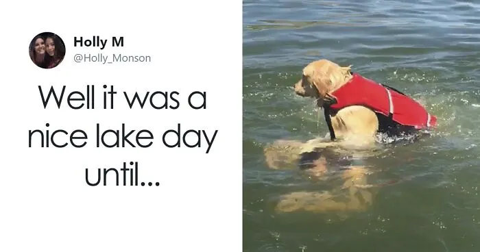 Internet Is Laughing Out Loud At The Way This Nice Lake Day Escalated