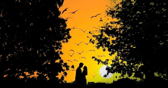 I Photographed The  Silhouettes Of The Love Story