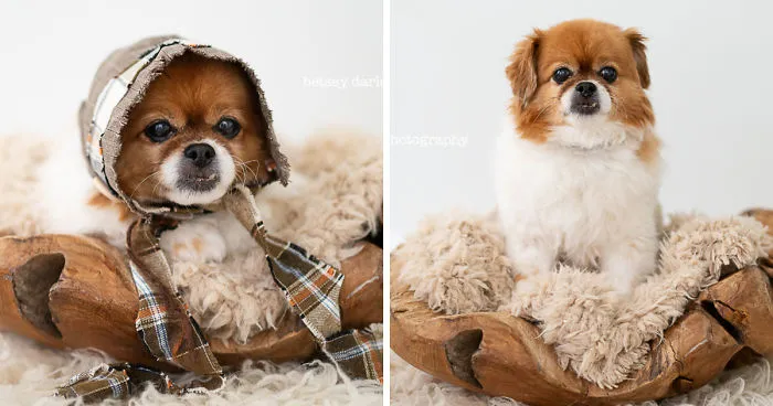 Did I Discover A New Era Of Photography Even Cuter Than Newborns?