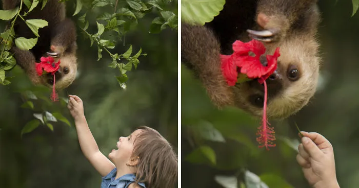 I Was Able To Take This Gorgeous Image Of My Daughter And A Sloth In Costa Rica