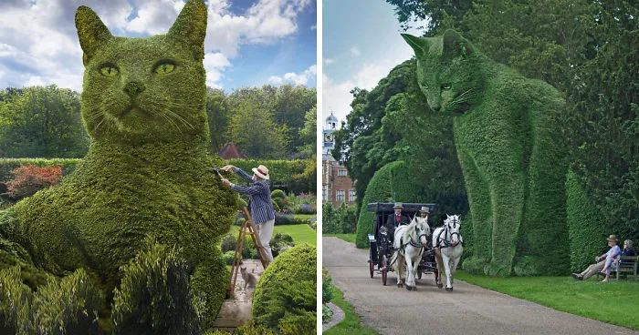 After The Death Of His Cat, Artist Started Doing These Digital Series