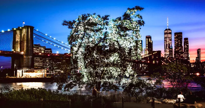 Artist Creates Incredible Portraits In Central Park Using Light Projections