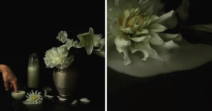 I Photograph Flowers With Dutch Light