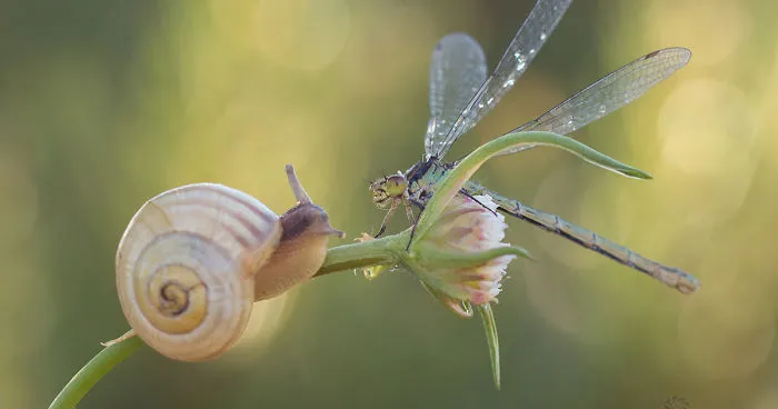I Photograph The Beauty Of Nature