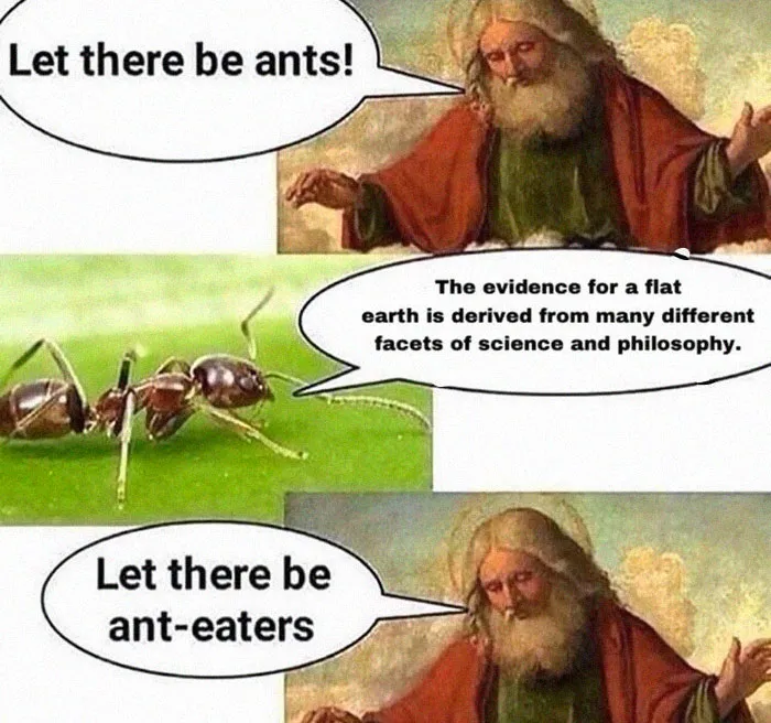 The Creation