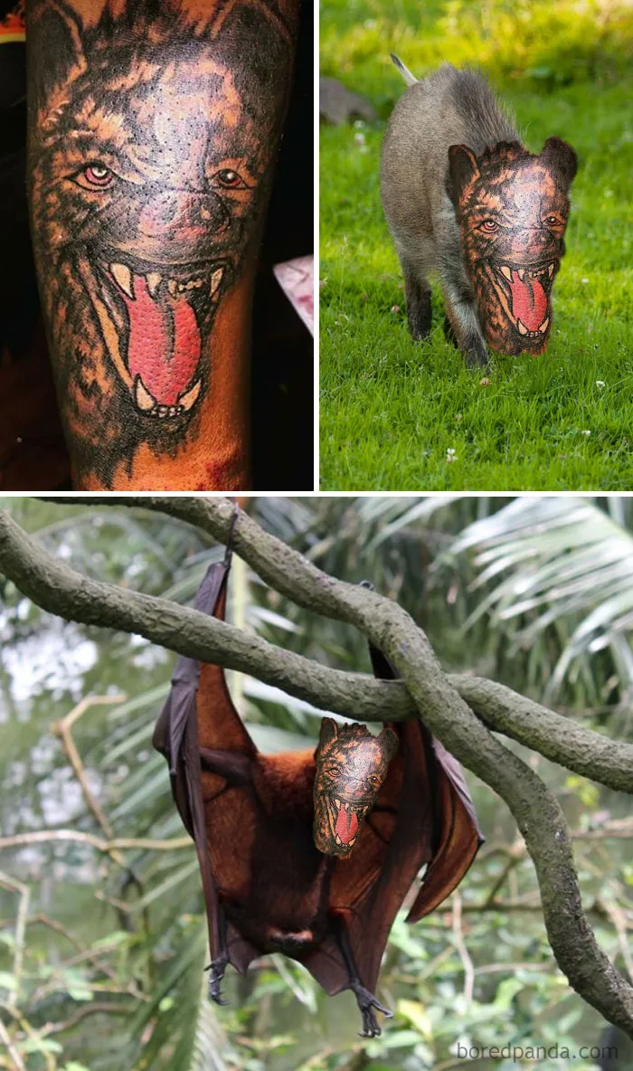 What Even Is This Creature? A Were-Bat-Wolf-Bear?