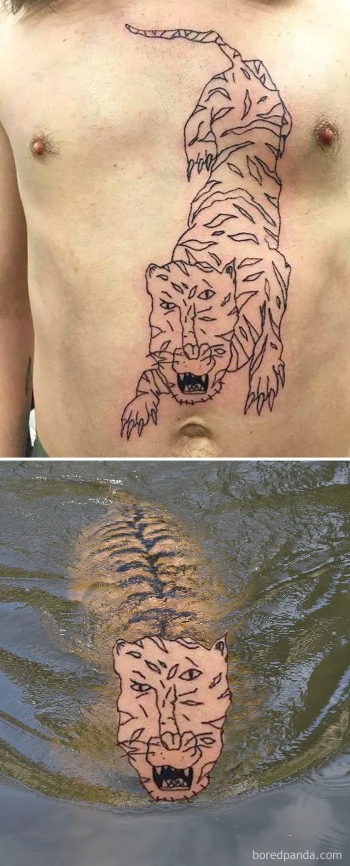 Predator In The Water
