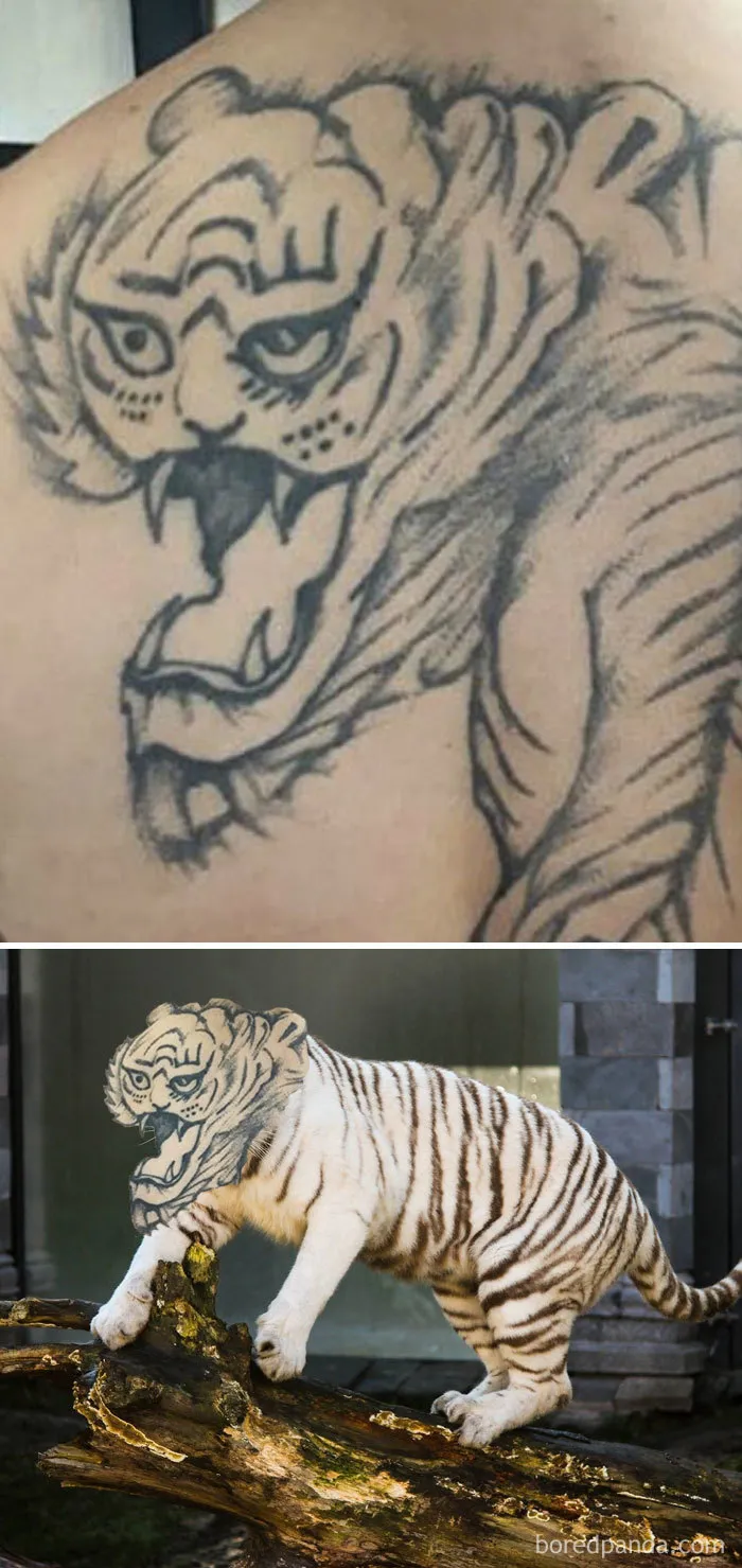 Roar