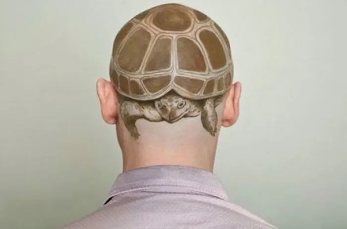 Back of a head with a turtle tattoo covering the scalp, showcasing a funny bad tattoo fail.