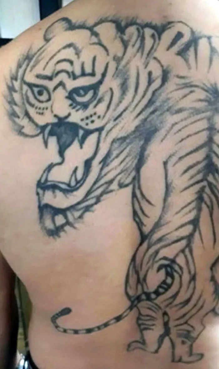 Vaya tigre