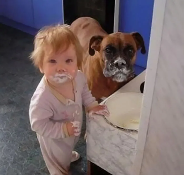 Busted