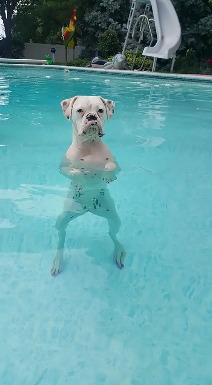 This Is What She Does In The Shallow, She Stands There...