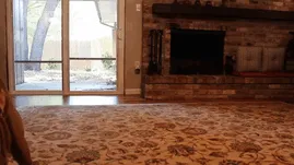 Boxer dog hilariously slides across living room rug, showing its playful and adorable nature.