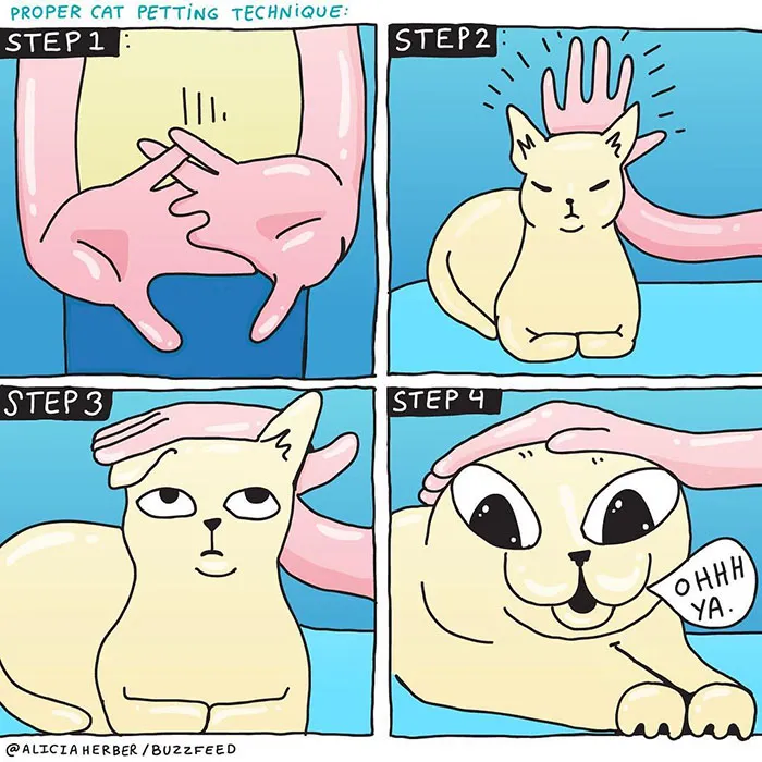 16 Hilariously Relatable Comics By Alicia Herber