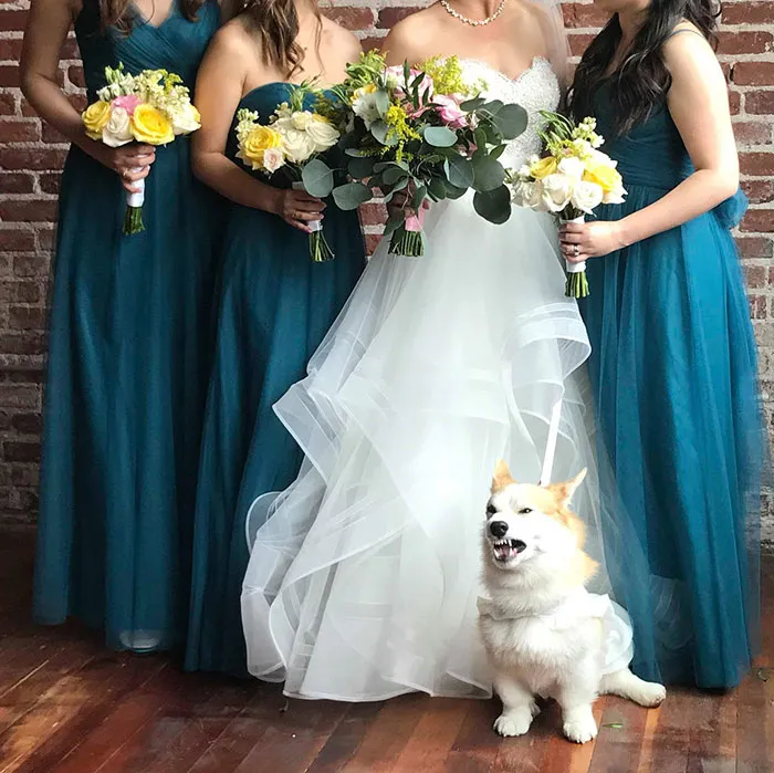 When You’re Caught Mid-Yawn In A Group Photo