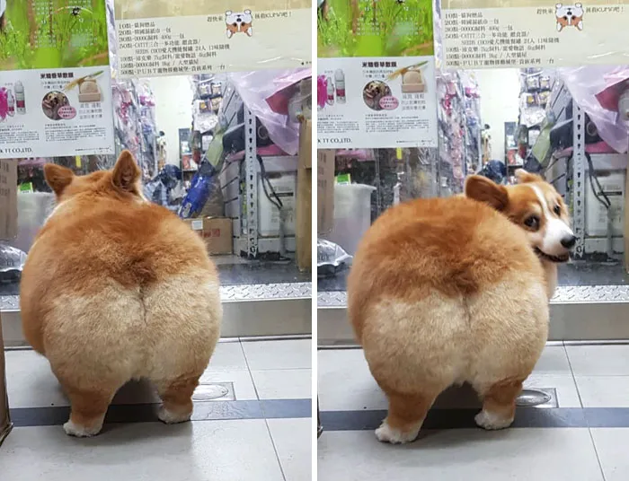 When You Catch Them Looking At Your Booty
