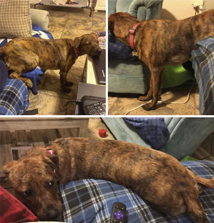 My Girl Hasn’t Quite Figured Out This Whole Sleeping Thing
