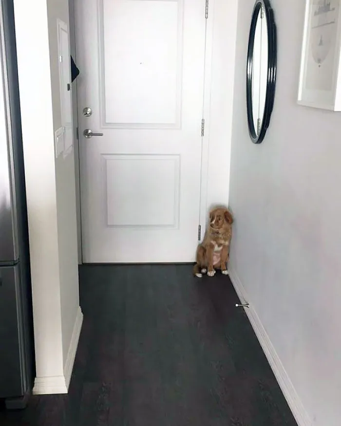 She Knocked A Chair Over And Now She Doesn't Want To Live Here Anymore