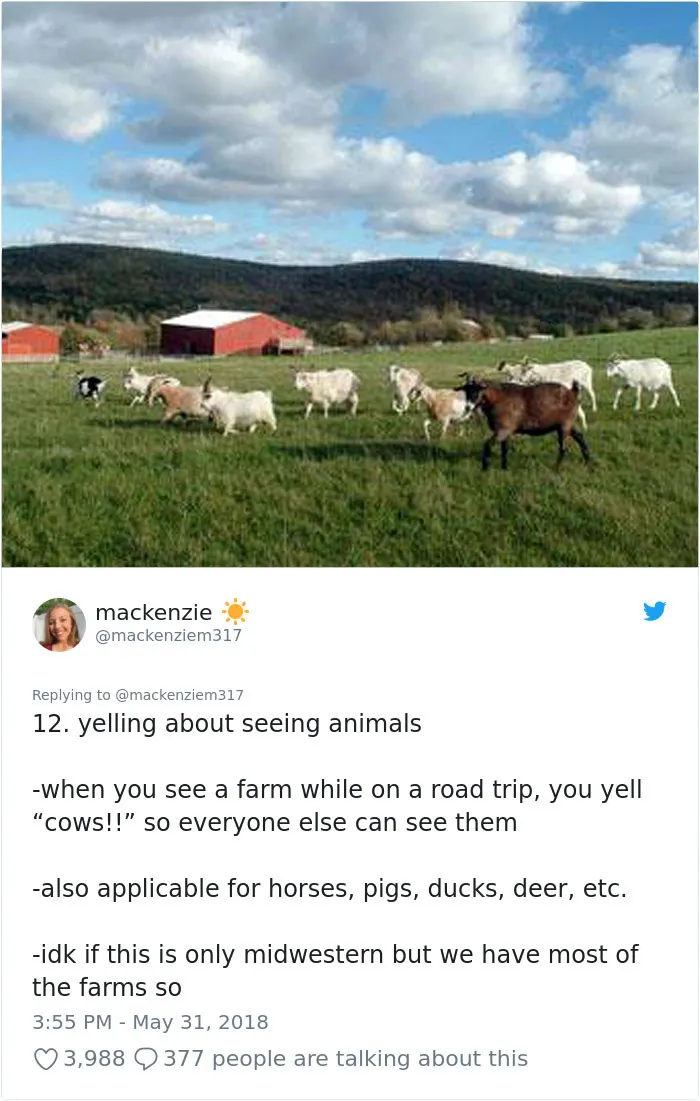 This Girl Perfectly Sums Up What Living In American Midwest Feels Like In 14 Hilarious Tweets
