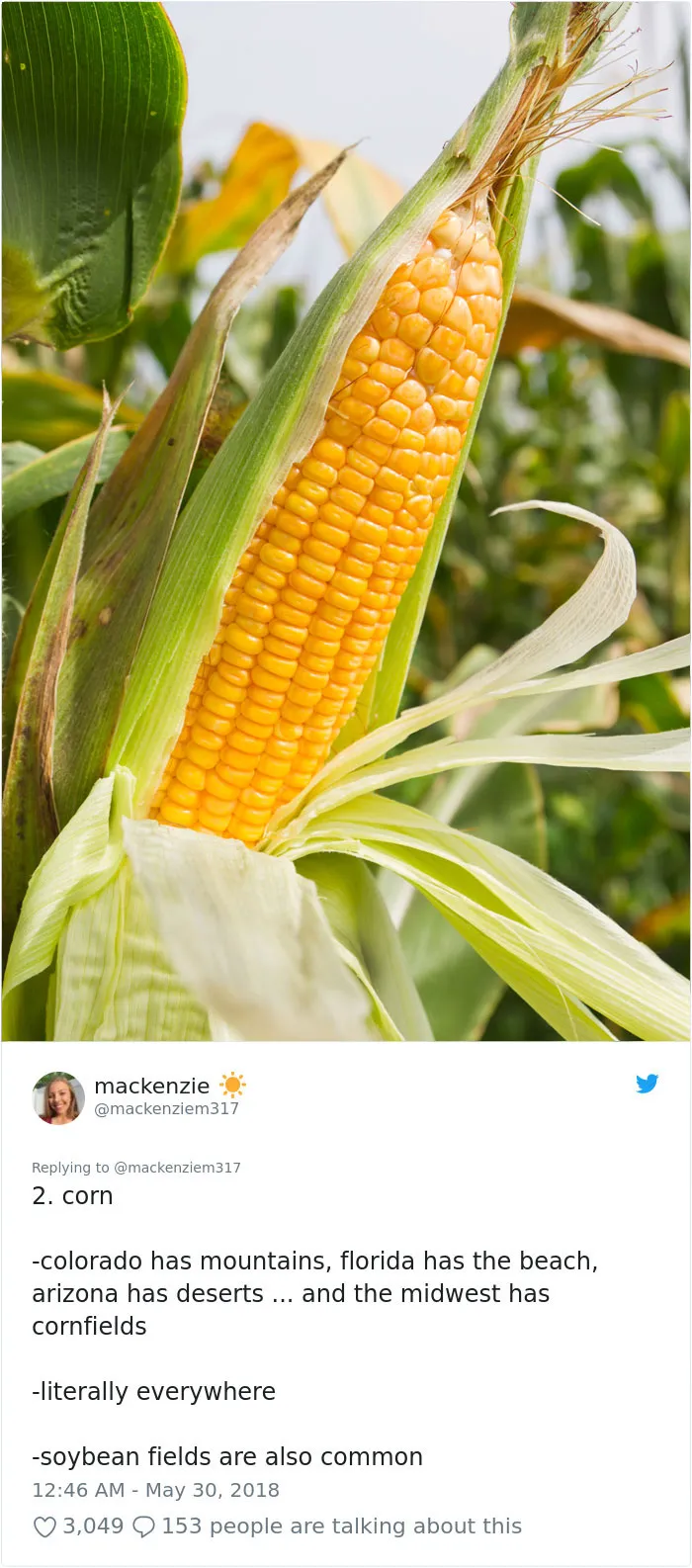 This Girl Perfectly Sums Up What Living In American Midwest Feels Like In 14 Hilarious Tweets