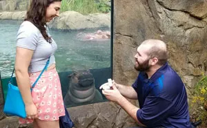 50 Funny Times The Background Of Photos Was Better Than The Foreground