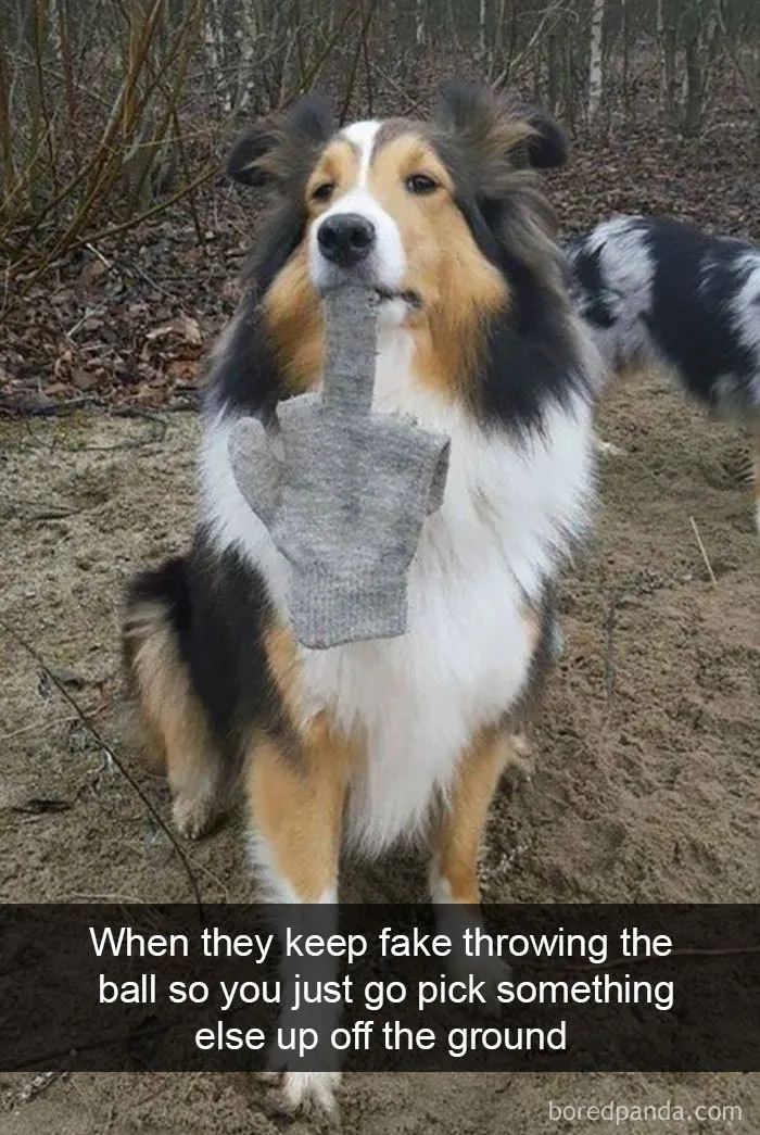 When They Keep Fake Throwing The Ball So You Just Go Pick Something Else Up Off The Ground