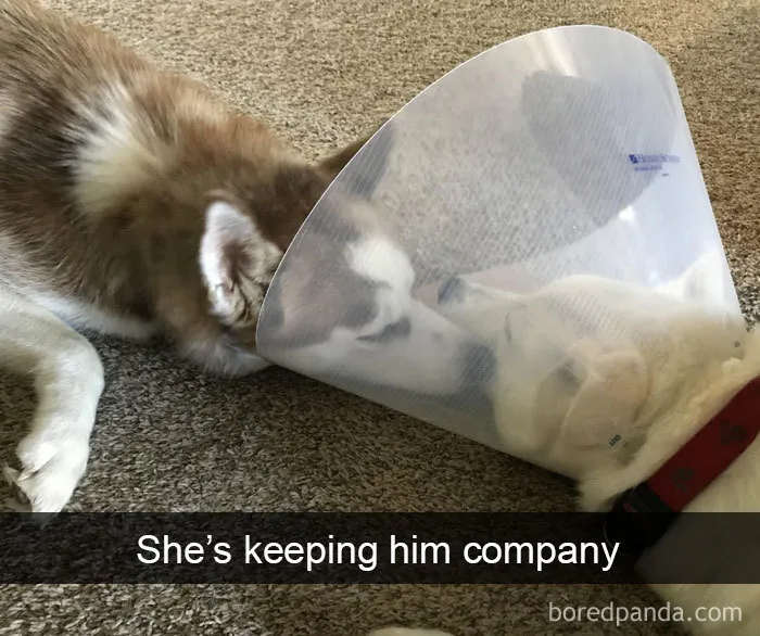 She’s Keeping Him Company