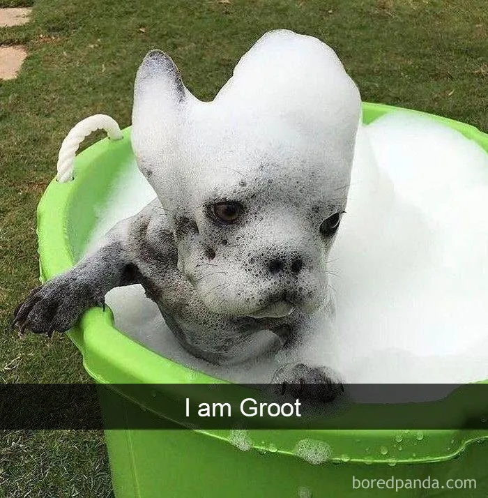 I Am Groot