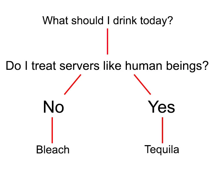 Flowchart meme humorously deciding drinks based on how people treat servers.