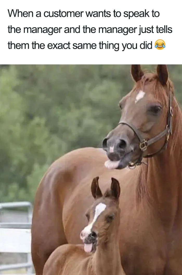 We A Team Over Here, Baby!
