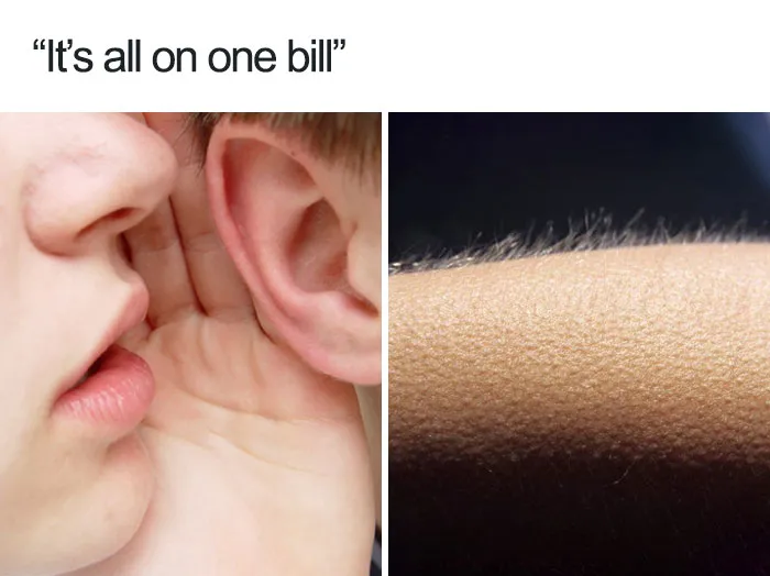 Restaurant meme showing a whispering ear and goosebumps after hearing "It’s all on one bill."