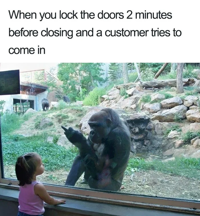 Girl and gorilla at glass, illustrating funny restaurant meme with customer scenario.