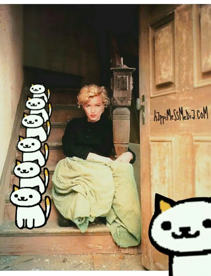 Marilyn Monroe 1