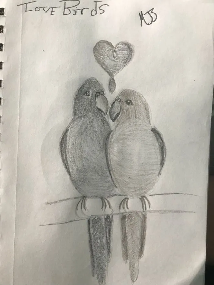 I Drew These Pictures And I Wanted To  Share Them With All Of You,