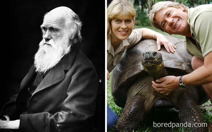 Harriet The Tortoise, Who Died In 2006, Had Seen Charles Darwin In Person